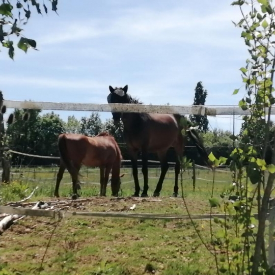 ACCES IMMOBILIER : Domain / Estate | PIN-BALMA (31130) | 60.00m2 | 721 000 € ACCES IMMOBILIER : Domain / Estate | PIN-BALMA (31130) | 60.00m2 | 721 000 €