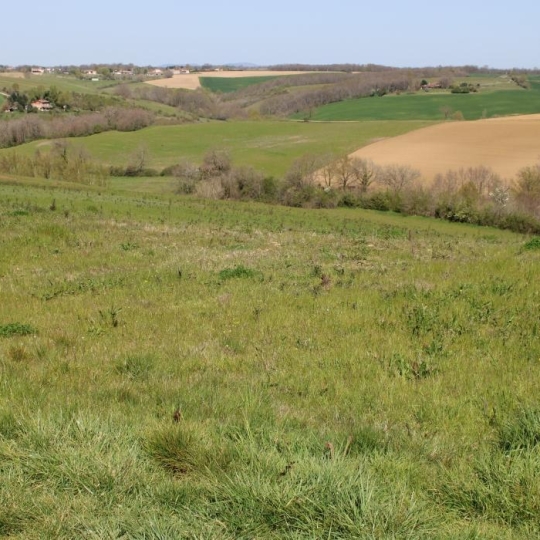  ACCES IMMOBILIER : Terrain | ROQUEMAURE (81800) | 0 m2 | 55 000 € 