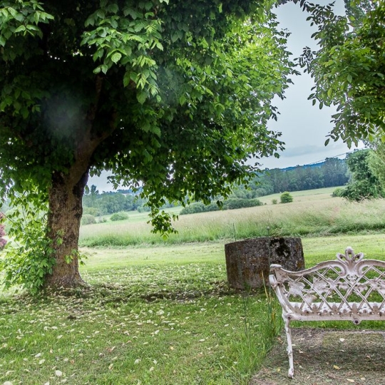 ACCES IMMOBILIER : Maison / Villa | GAILLAC (81600) | 560 m2 | 895 000 € 