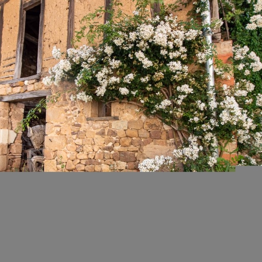  ACCES IMMOBILIER : Maison / Villa | GAILLAC (81600) | 560 m2 | 895 000 € 
