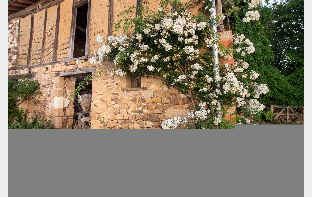ACCES IMMOBILIER : Maison / Villa | GAILLAC (81600) | 560 m2 | 895 000 € 