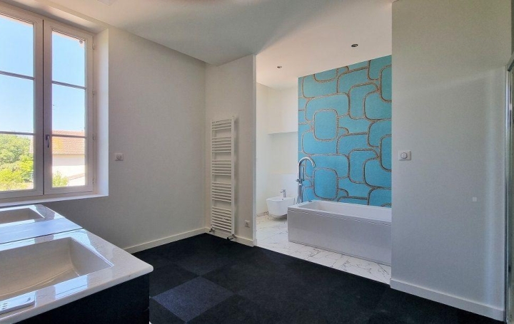 ACCES IMMOBILIER : Maison / Villa | LAVAUR (81500) | 250 m2 | 610 000 € 