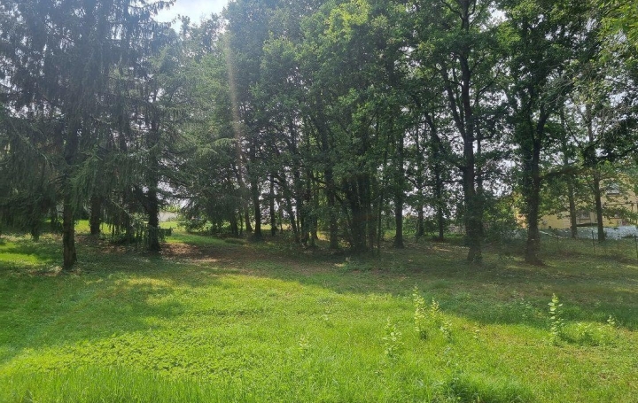  ACCES IMMOBILIER Terrain | GIROUSSENS (81500) | 0 m2 | 136 000 € 