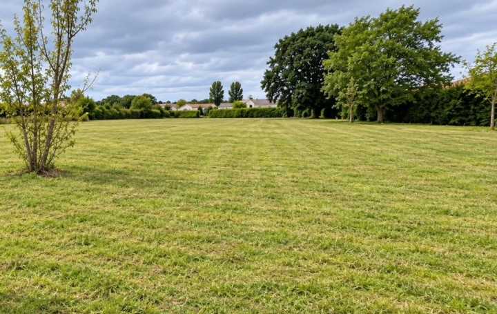  ACCES IMMOBILIER Terrain | SAINT-SULPICE-LA-POINTE (81370) | 0 m2 | 147 000 € 
